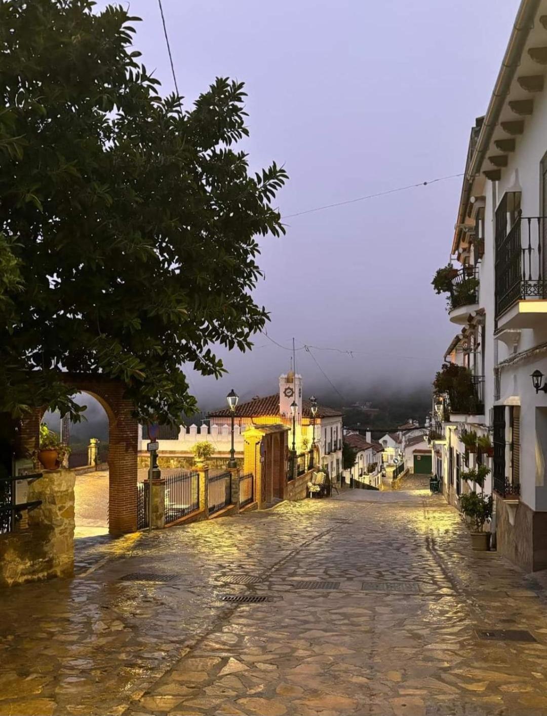 Apartamento El Pinsapo Benamahoma Exterior foto